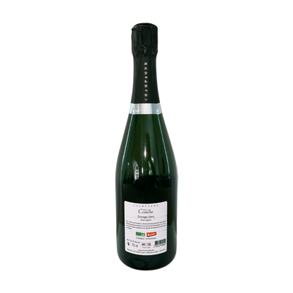 Champagne metodo classico demeter - note del sommelier Wine Delivery e shop vino online