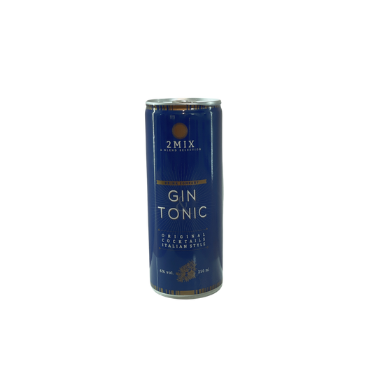 Gin tonic - note del sommelier wine delivery e shop online