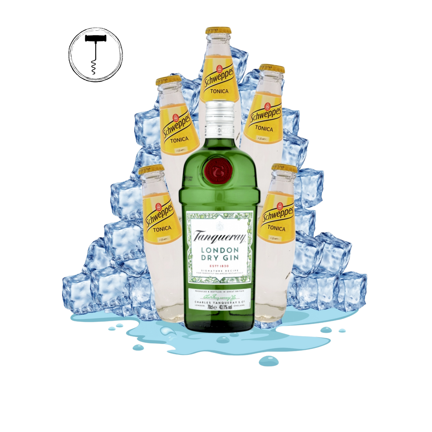 gin tonic - note del sommelier winelivery e shop vino online