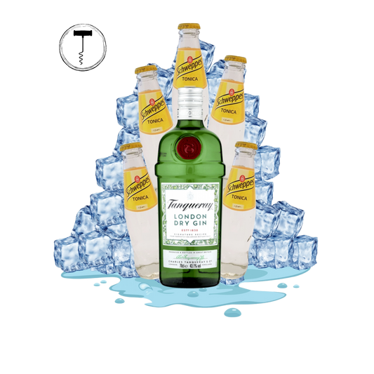 gin tonic - note del sommelier winelivery e shop vino online