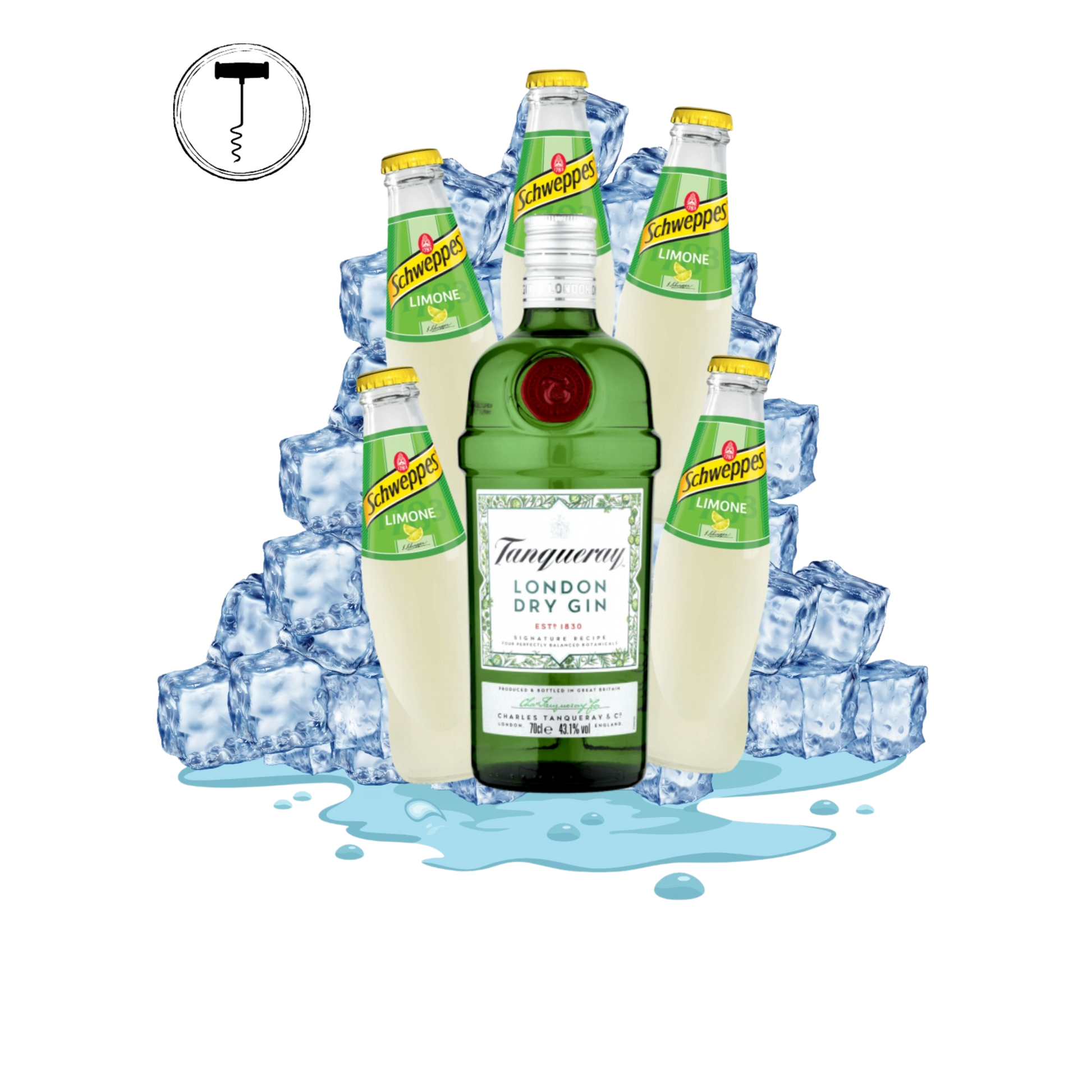 gin lemon - note del sommelier winelivery e shop vino online